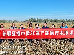 中黄30：高产抗病 西北套作优选国审大豆品种