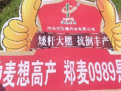2025小麦控旺抗旱防冻保安全越冬技术指导意见